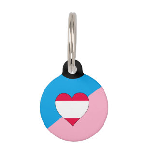 Age Play Pride Flag Pet Tag