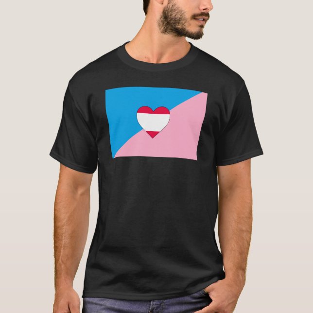 Age Play Pride Flag T-Shirt (Front)