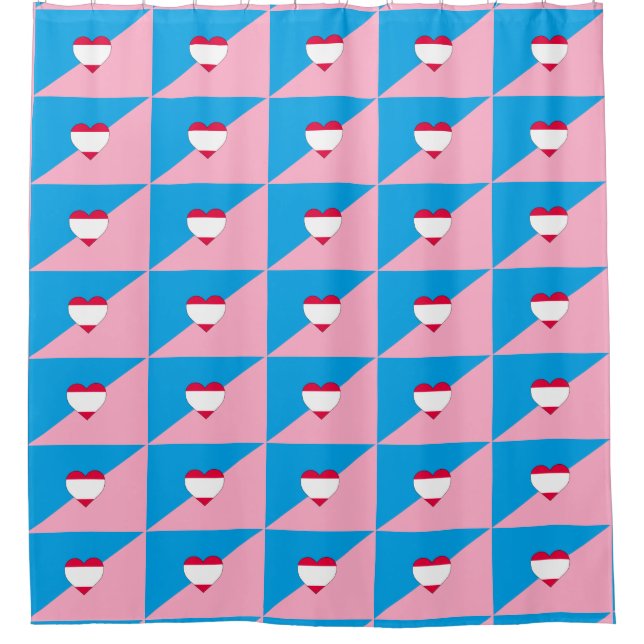 Age Play Pride Shower Curtain (Front)