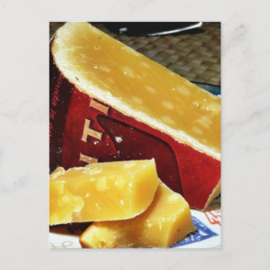 Aged Gouda Cheese Postcard