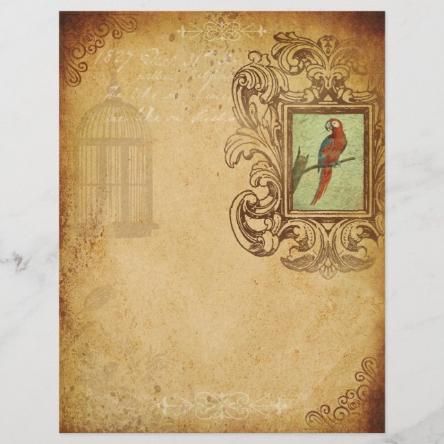 Aged Parchment Vintage Parrot Scrapbook Paper (Front)