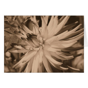 Aged Sepia Dahlia Flower Photography Card