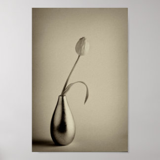 Aged sepia toned tulip in vase poster