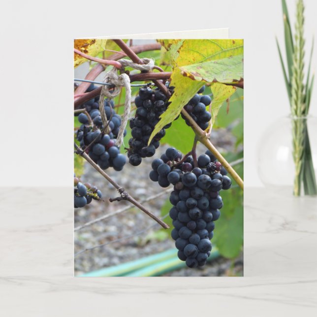 Aged to Perfection Card (Front)