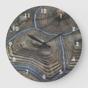 Aged Tortoiseshell Photographic  Large Clock