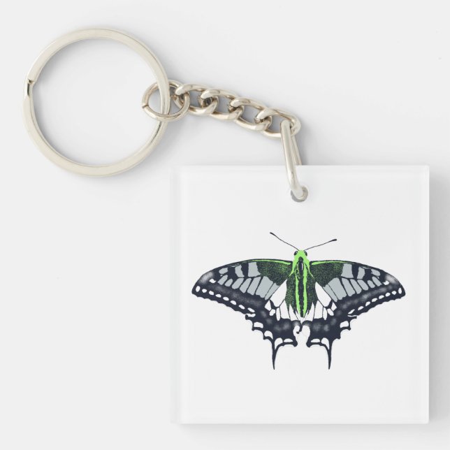 Agender Flag Swallowtail Butterfly Key Ring (Front)