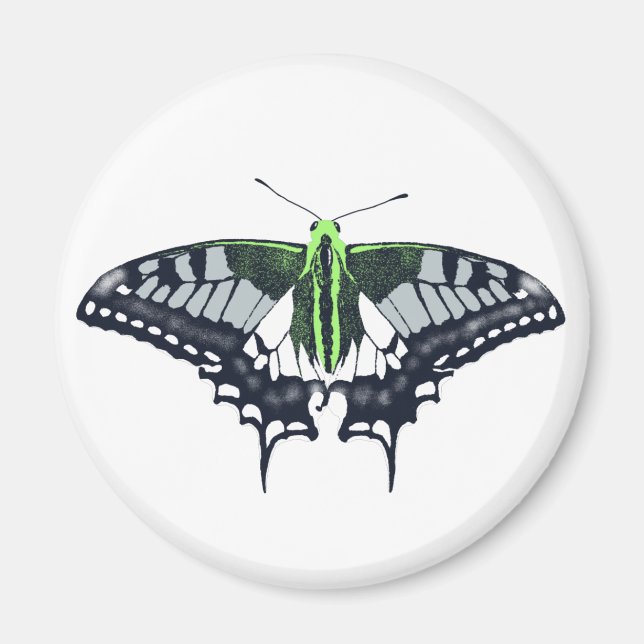Agender Flag Swallowtail Butterfly Magnet (Front)