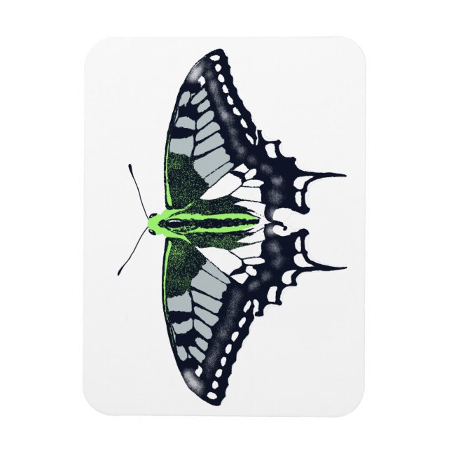 Agender Flag Swallowtail Butterfly Magnet (Vertical)