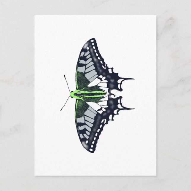 Agender Flag Swallowtail Butterfly Postcard (Front)