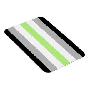 Agender Pride Flag Magnet