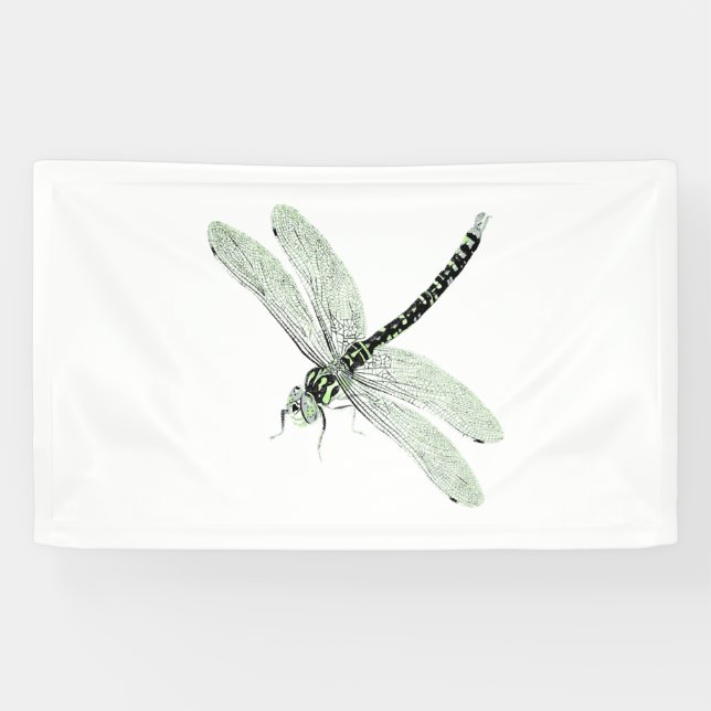 Agender Pride Vintage Dragonfly Art Banner (Horizontal)