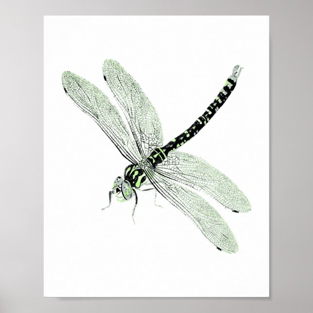Agender Pride Vintage Dragonfly Art Poster (Front)