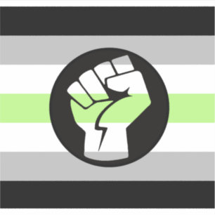 Agender Protest Flag