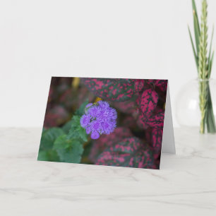 Ageratum in a Garden Card