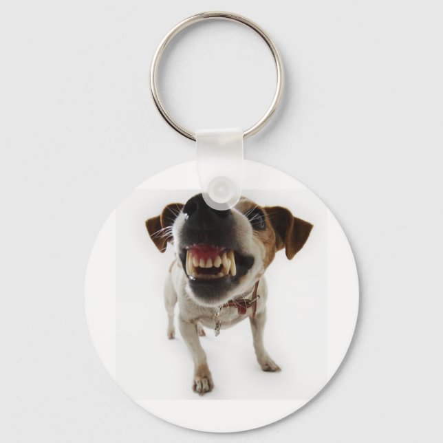 aggressive key ring (Front)