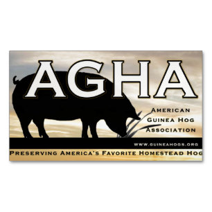 AGHA colour magnet