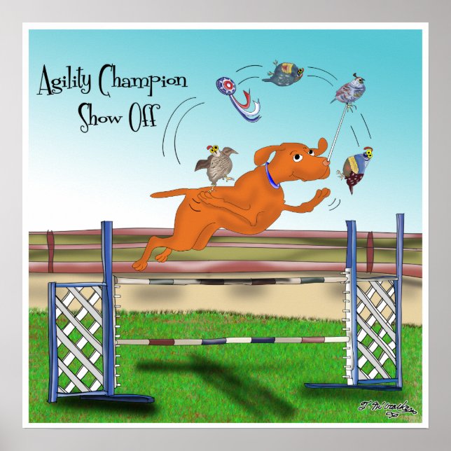 Agility Champion Show Off Poster (Front)
