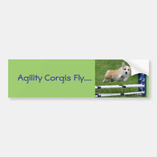 Agility Corgis Fly Bumper Sticker