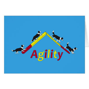 Agility dog