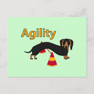 Agility dog postcard