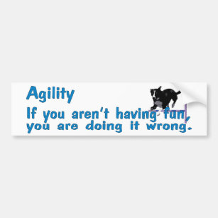 Agility Have Fun Bumper Sticker
