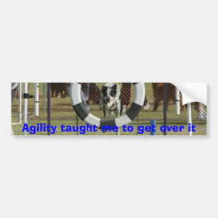 Agility taught me to get over it bumper sticker
