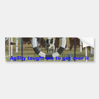 Agility taught me to get over it bumper sticker