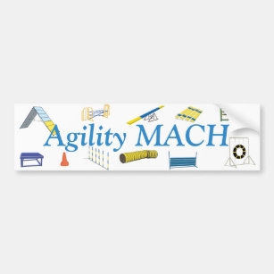 Agility Titles Bumper Sticker