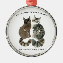 Aging humour for cat loving friends husband wife c