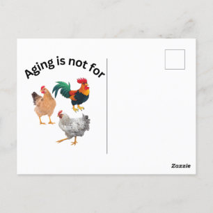 Aging is Not for Chickens. chickens, humour, funny Postcard