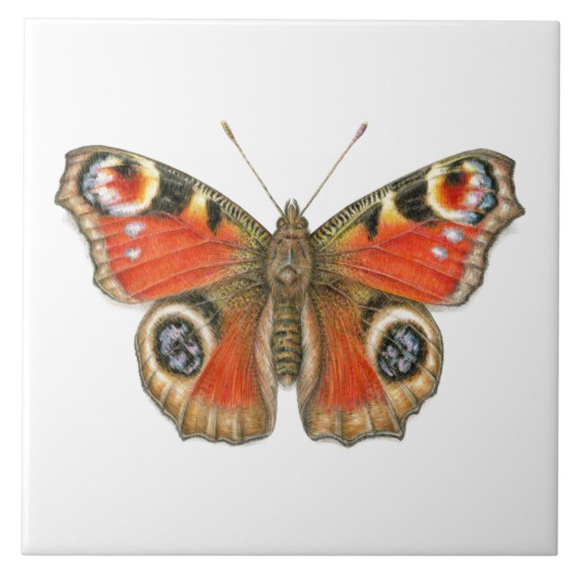 Aglais io - Peacock Butterfly Ceramic Tile (Front)