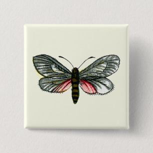 Aglaope infausta - Almond-Tree Leaf Skeletonizer 15 Cm Square Badge