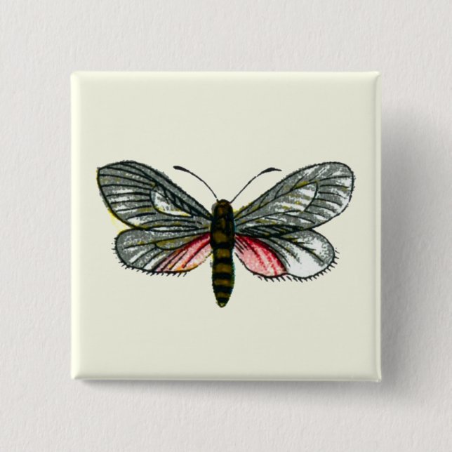 Aglaope infausta - Almond-Tree Leaf Skeletonizer 15 Cm Square Badge (Front)