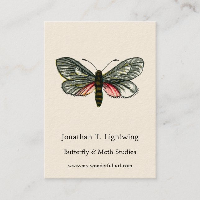 Aglaope infausta - Almond-Tree Leaf Skeletonizer B Business Card (Front)
