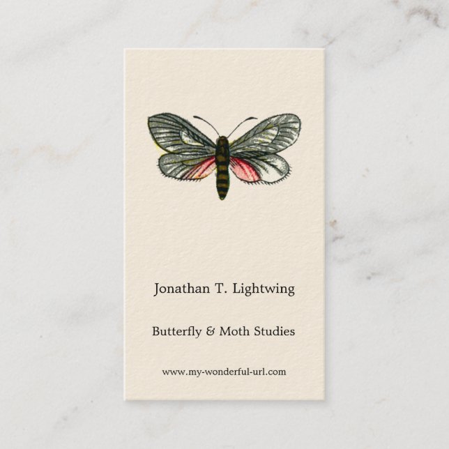 Aglaope infausta - Almond-Tree Leaf Skeletonizer B Business Card (Front)