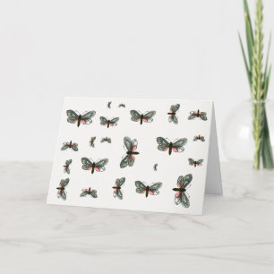 Aglaope infausta - Almond-Tree Leaf Skeletonizer Card