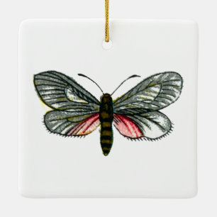 Aglaope infausta - Almond-Tree Leaf Skeletonizer Ceramic Ornament