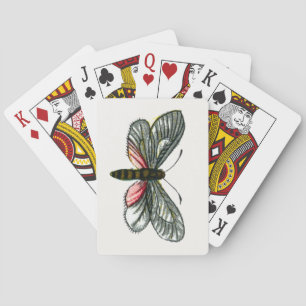 Aglaope infausta - Almond-Tree Leaf Skeletonizer Playing Cards