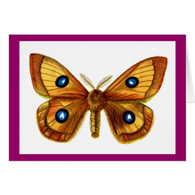 Aglia Tau Butterfly (Front Horizontal)