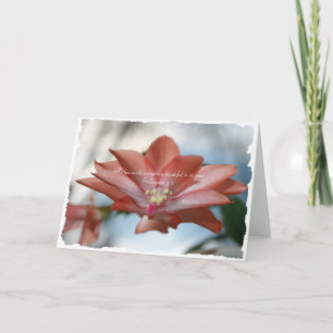 Agnes the Christmas Cactus Ecclesiastes 3:11 Holiday Card