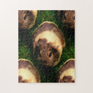 Agouti Guinea Pig in the Grass Jigsaw Puzzle
