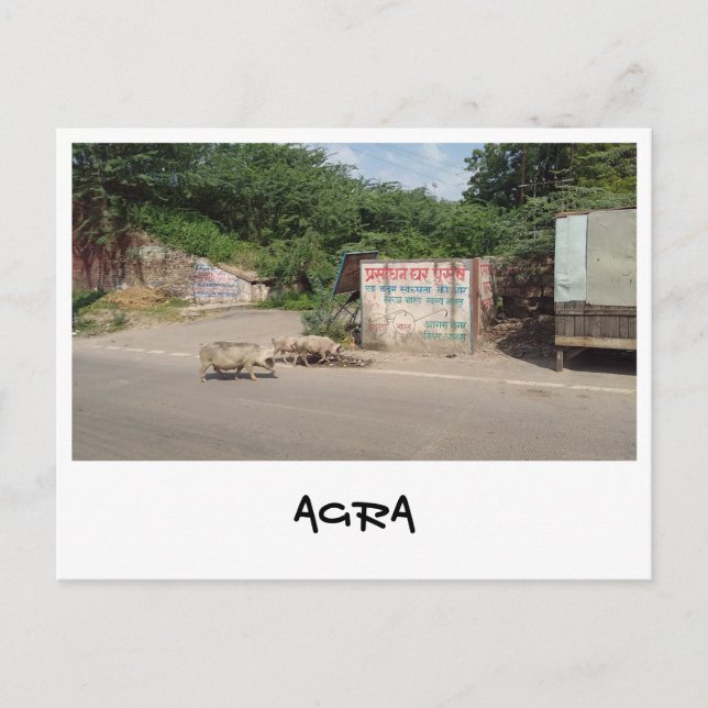 Agra, Uttar Pradesh (India) Postcard (Front)
