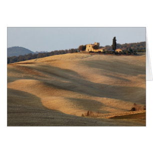 Agricultural field at sunset, Val d'Orcia, Tusca