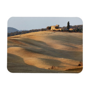 Agricultural field at sunset, Val d'Orcia, Tusca Magnet