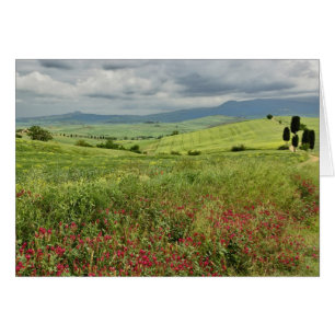 Agricultural field, Tuscany region of Italy.
