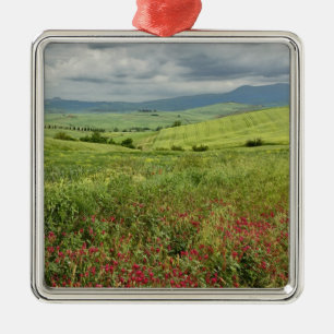 Agricultural field, Tuscany region of Italy. Metal Tree Decoration