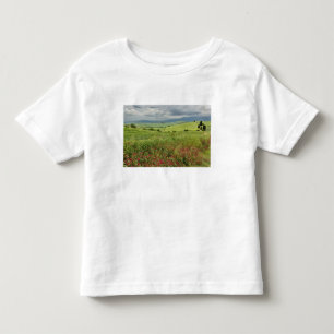 Agricultural field, Tuscany region of Italy. Toddler T-Shirt