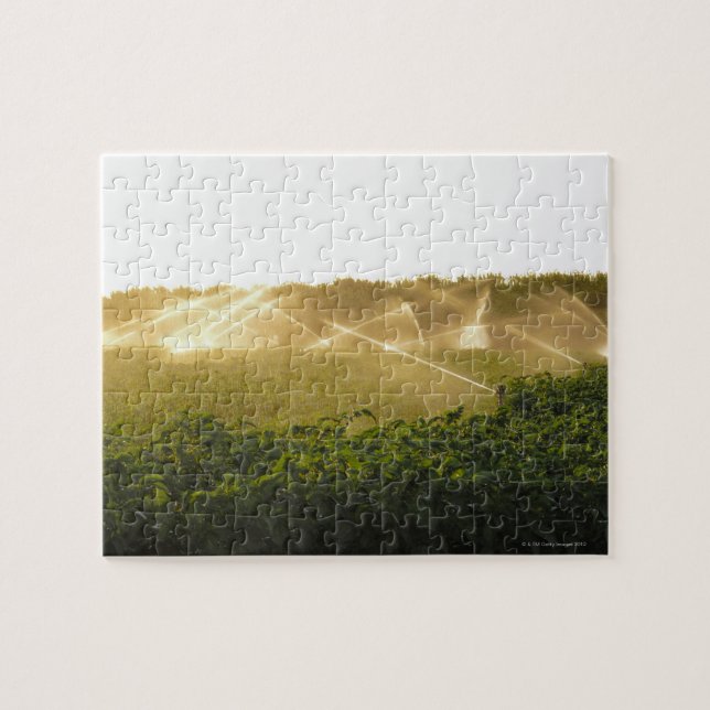 Agricultural irrigation system watering 2 jigsaw puzzle (Horizontal)