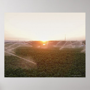 Agricultural irrigation system watering poster