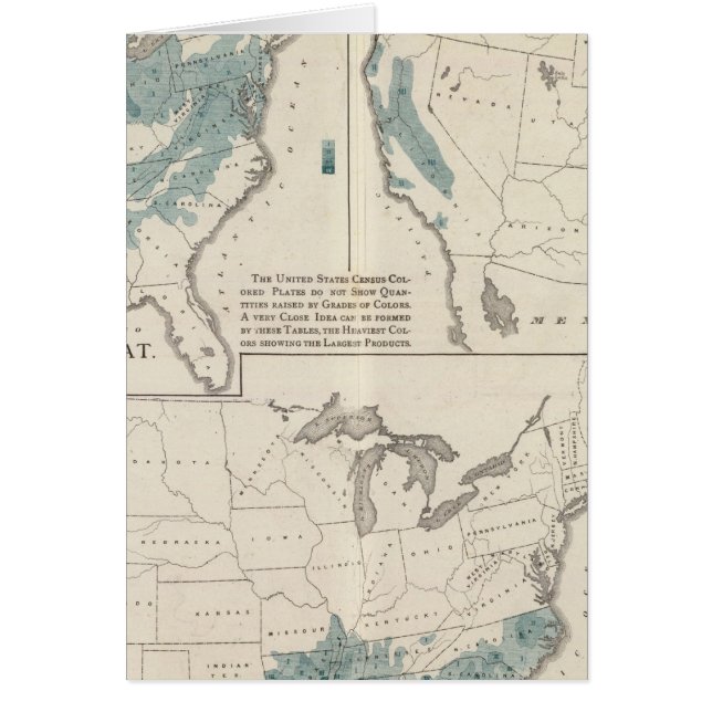 Agricultural productions (Front)